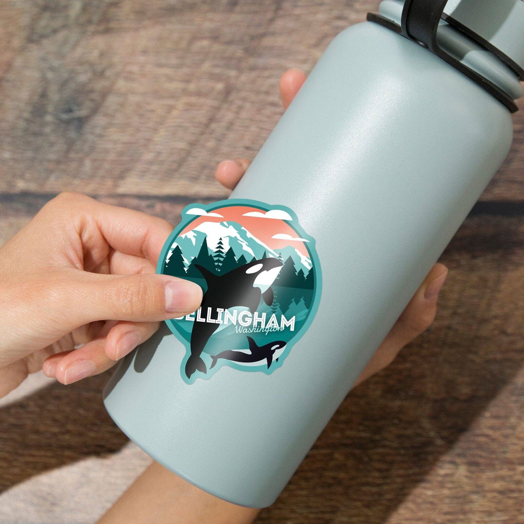 Bellingham, Washington, Orca Whale and Calf, Vector, Contour, Lantern Press Artwork, Vinyl Sticker Sticker Lantern Press 