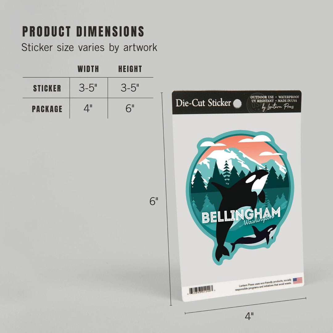 Bellingham, Washington, Orca Whale and Calf, Vector, Contour, Lantern Press Artwork, Vinyl Sticker Sticker Lantern Press 