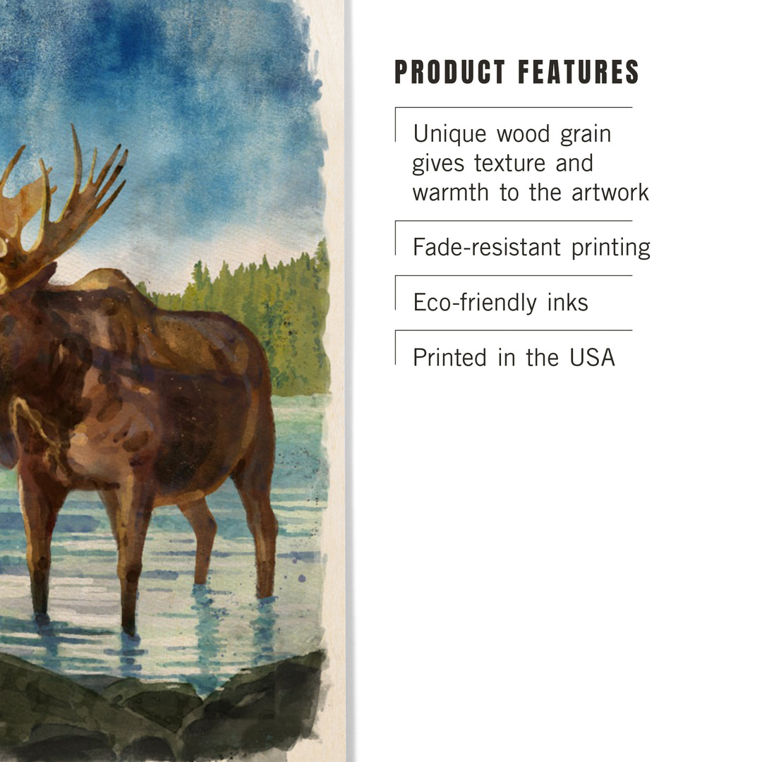 Watercolor Study, Moose, Wood Signs and Postcards