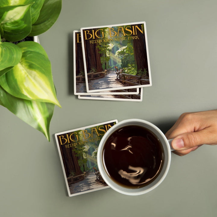 Big Basin Redwoods Park, California, Pathway in Trees, Coasters Coasters Lantern Press 