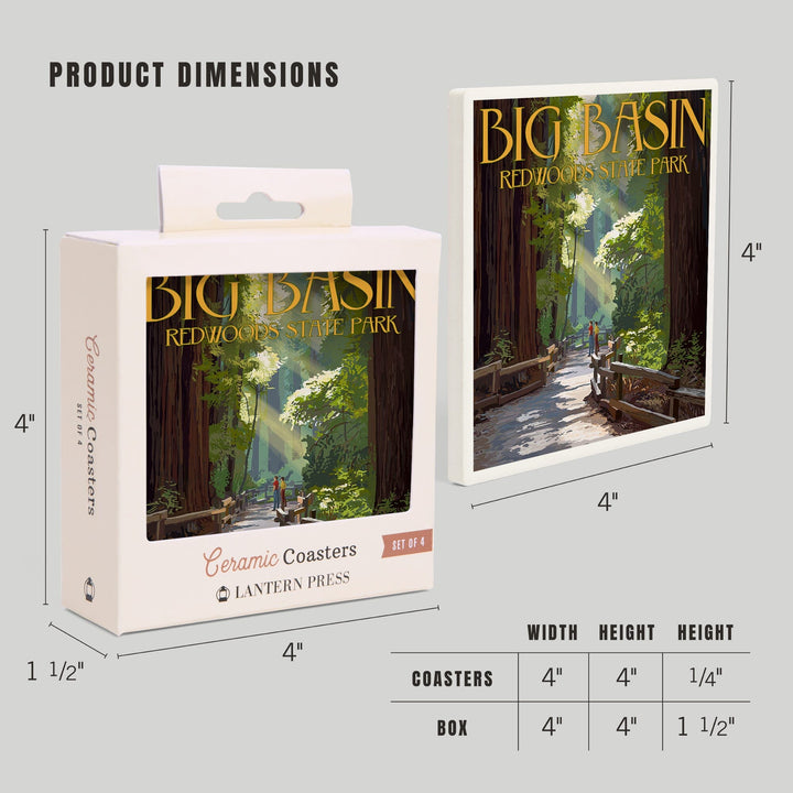 Big Basin Redwoods Park, California, Pathway in Trees, Coasters Coasters Lantern Press 