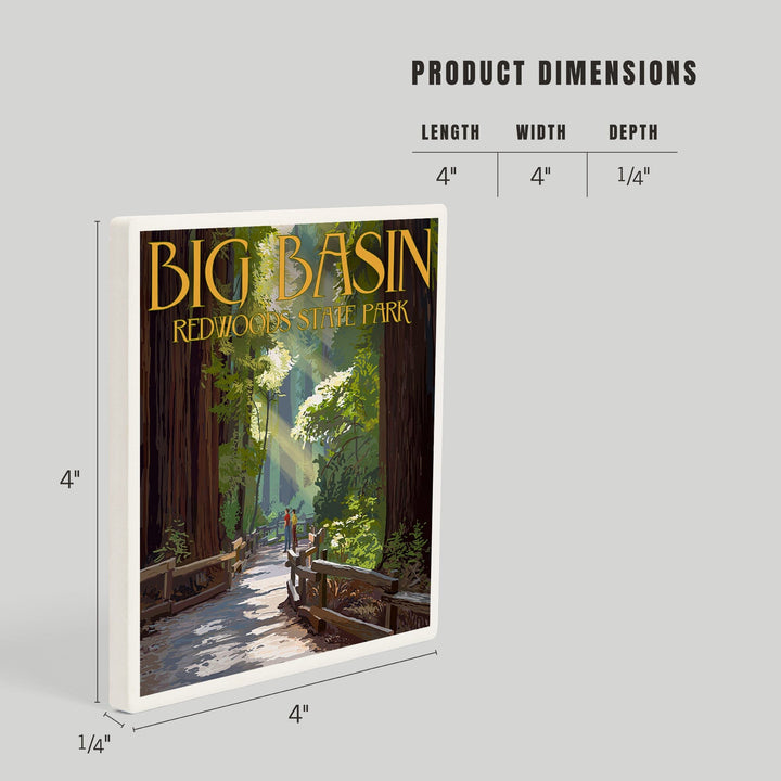 Big Basin Redwoods Park, California, Pathway in Trees, Coasters Coasters Lantern Press 