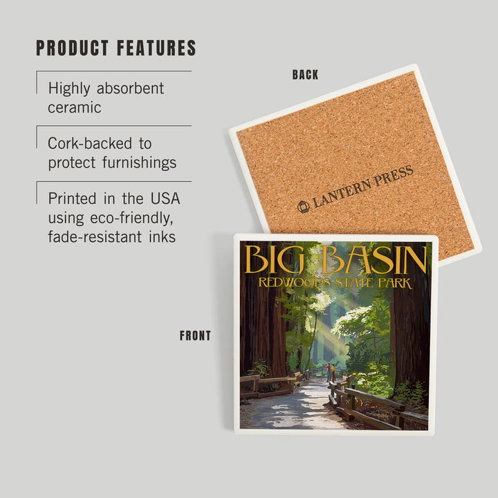 Big Basin Redwoods Park, California, Pathway in Trees, Coasters Coasters Lantern Press 