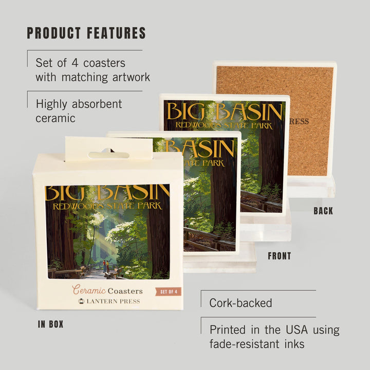 Big Basin Redwoods Park, California, Pathway in Trees, Coasters Coasters Lantern Press 
