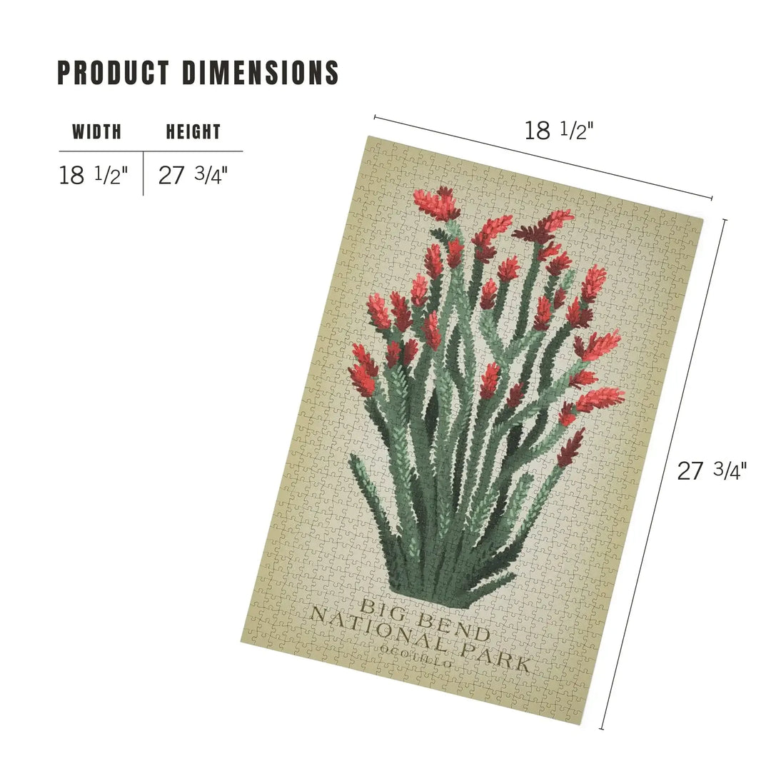 Big Bend National Park, Ocotillo, Vintage Flora, Jigsaw Puzzle Puzzle Lantern Press 