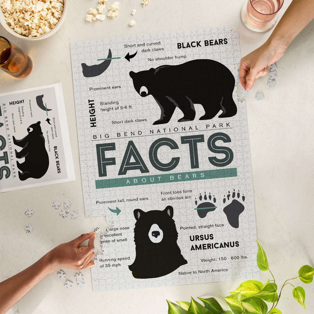 Big Bend National Park, Texas, Facts About Black Bears, Jigsaw Puzzle Puzzle Lantern Press 
