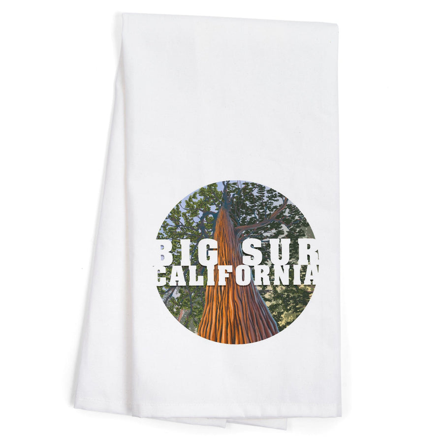 Big Sur, California, Redwoods, Looking Up Tree, Contour, Organic Cotton Kitchen Tea Towels Kitchen Lantern Press 