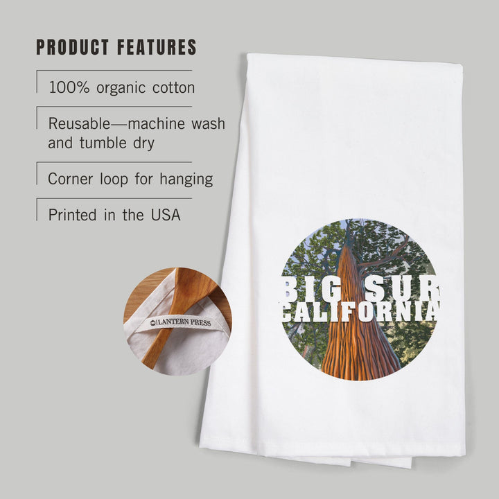 Big Sur, California, Redwoods, Looking Up Tree, Contour, Organic Cotton Kitchen Tea Towels Kitchen Lantern Press 