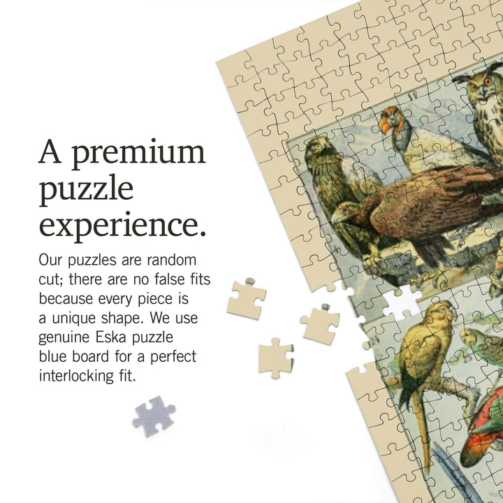 Birds, A, Vintage Bookplate, Adolphe Millot Artwork, Jigsaw Puzzle Puzzle Lantern Press 