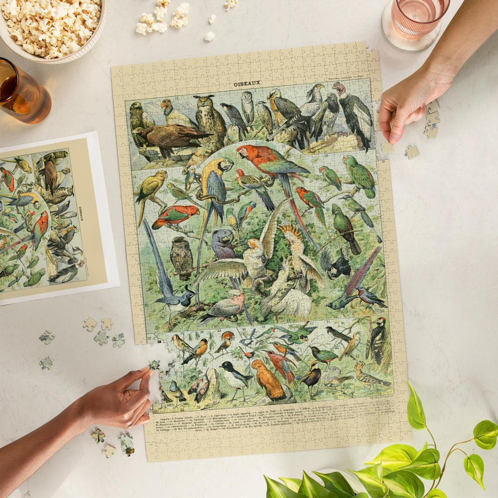 Birds, A, Vintage Bookplate, Adolphe Millot Artwork, Jigsaw Puzzle Puzzle Lantern Press 