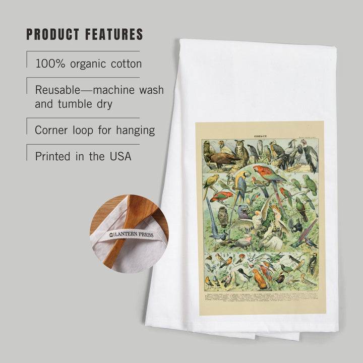 Birds, A, Vintage Bookplate, Adolphe Millot Artwork, Organic Cotton Kitchen Tea Towels Kitchen Lantern Press 
