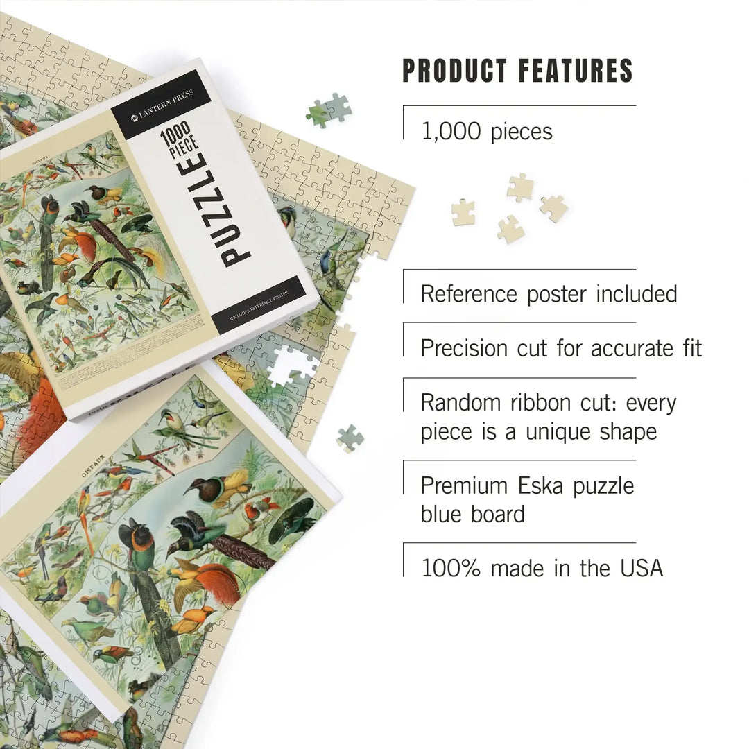 Birds, B, Vintage Bookplate, Adolphe Millot Artwork, Jigsaw Puzzle Puzzle Lantern Press 