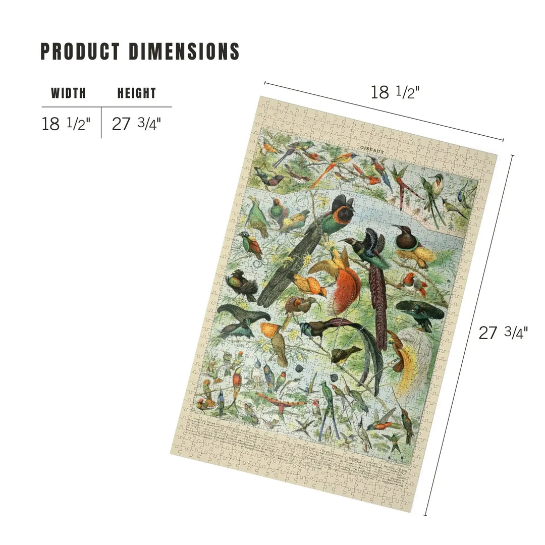 Birds, B, Vintage Bookplate, Adolphe Millot Artwork, Jigsaw Puzzle Puzzle Lantern Press 