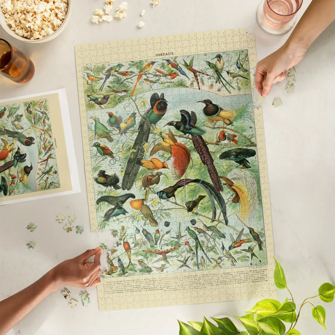 Birds, B, Vintage Bookplate, Adolphe Millot Artwork, Jigsaw Puzzle Puzzle Lantern Press 