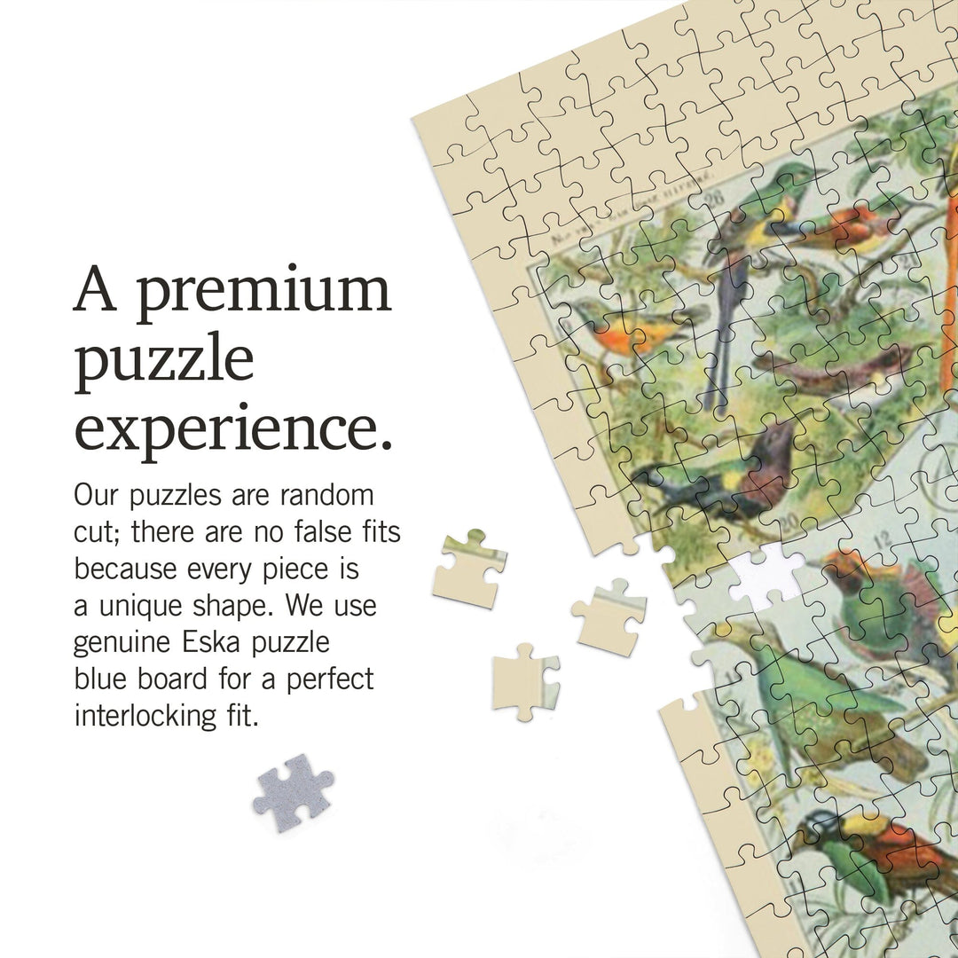 Birds, B, Vintage Bookplate, Adolphe Millot Artwork, Jigsaw Puzzle Puzzle Lantern Press 