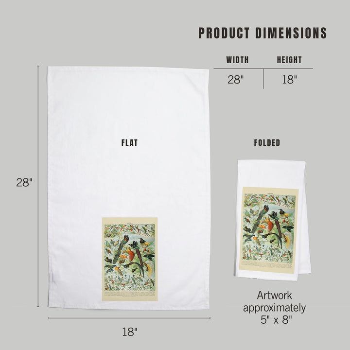 Birds, B, Vintage Bookplate, Adolphe Millot Artwork, Organic Cotton Kitchen Tea Towels Kitchen Lantern Press 