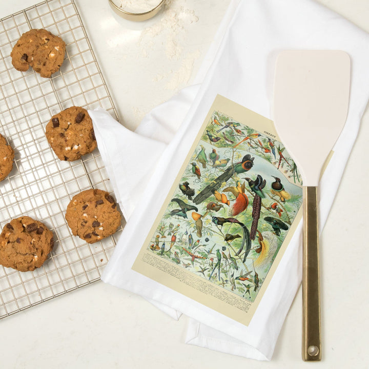Birds, B, Vintage Bookplate, Adolphe Millot Artwork, Organic Cotton Kitchen Tea Towels Kitchen Lantern Press 