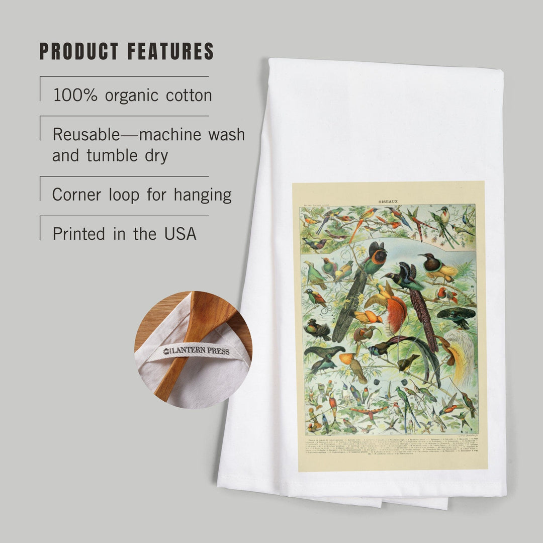 Birds, B, Vintage Bookplate, Adolphe Millot Artwork, Organic Cotton Kitchen Tea Towels Kitchen Lantern Press 
