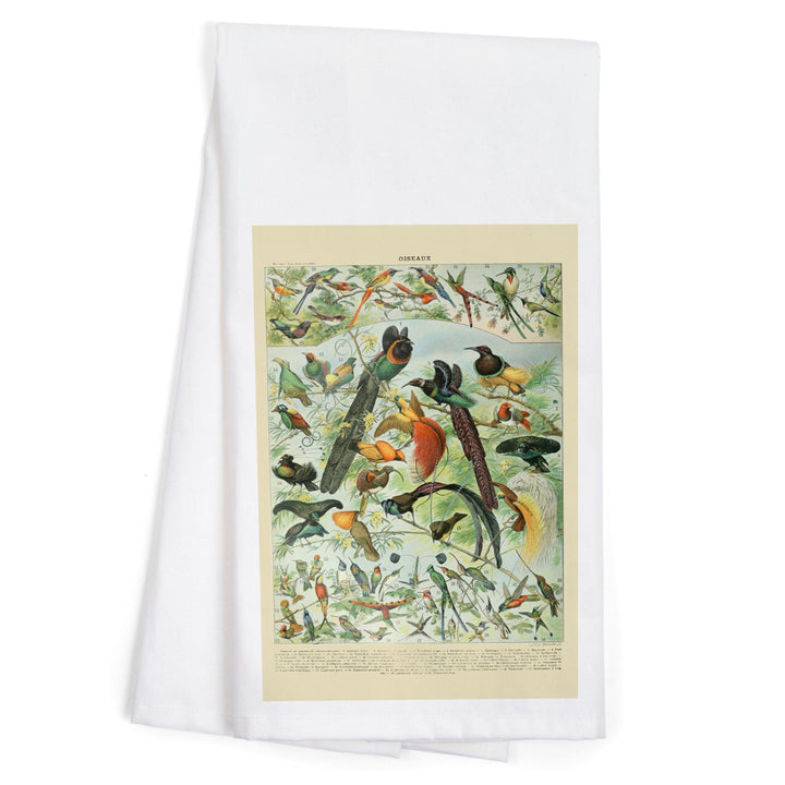 Birds, B, Vintage Bookplate, Adolphe Millot Artwork, Organic Cotton Kitchen Tea Towels Kitchen Lantern Press 
