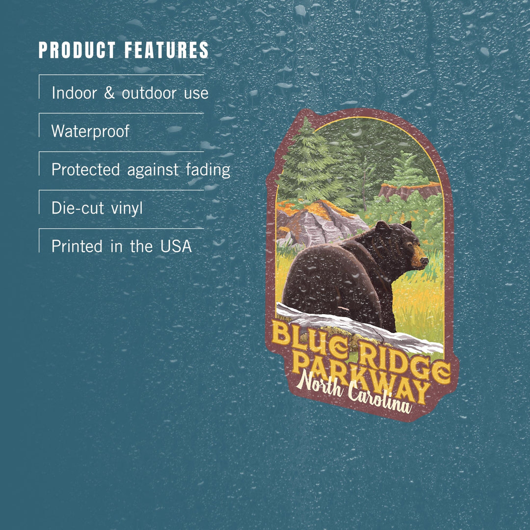 Blue Ridge Parkway, North Carolina, Black Bear in Forest, Contour, Vinyl Sticker Sticker Lantern Press 