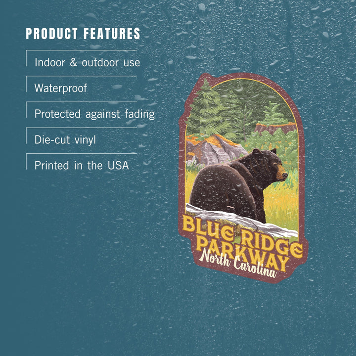 Blue Ridge Parkway, North Carolina, Black Bear in Forest, Contour, Vinyl Sticker Sticker Lantern Press 