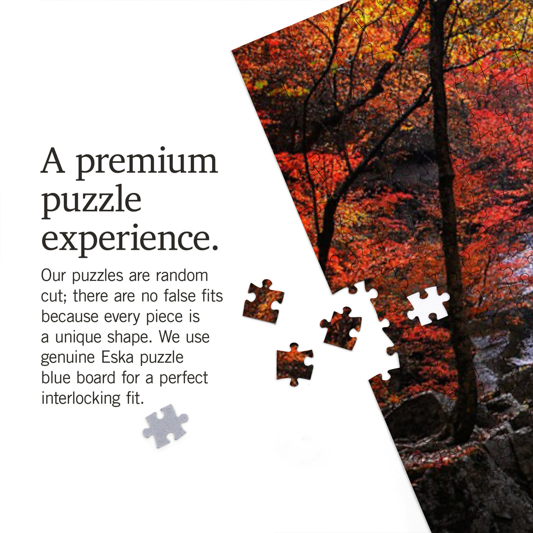 Blue Ridge Parkway, Waterfall and Autumn Colors, Jigsaw Puzzle Puzzle Lantern Press 