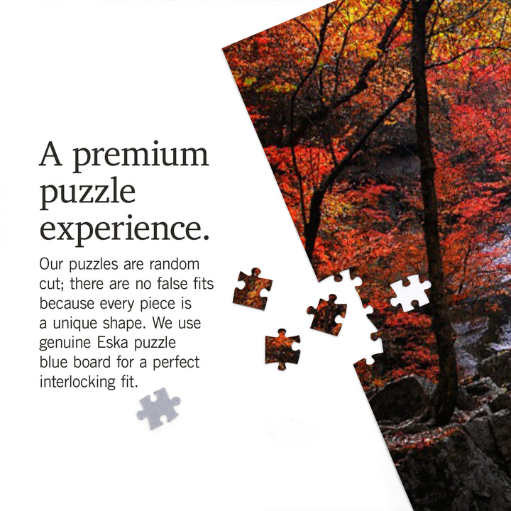 Blue Ridge Parkway, Waterfall and Autumn Colors, Jigsaw Puzzle Puzzle Lantern Press 