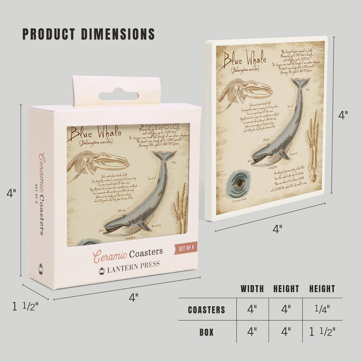 Blue Whale, da Vinci, Coasters Coasters Lantern Press 