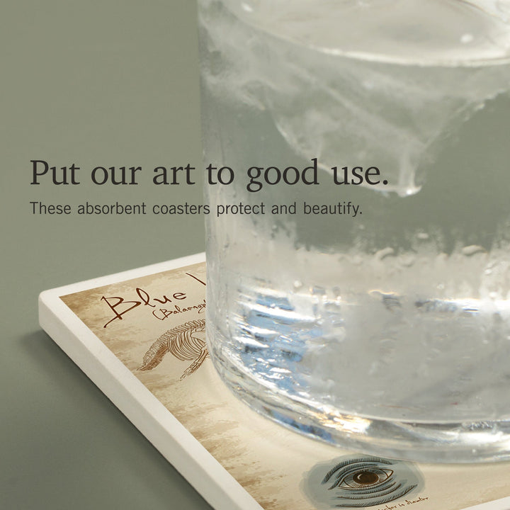 Blue Whale, da Vinci, Coasters Coasters Lantern Press 