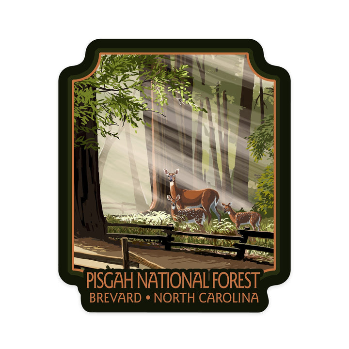 Brevard, North Carolina, Pisgah National Forest, Deer and Fawn, Contour, Vinyl Sticker Sticker Lantern Press 