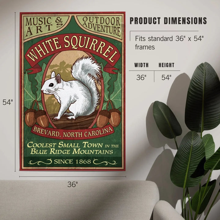 Brevard, North Carolina, White Squirrel Vintage Sign, Art & Giclee Prints - Lantern Press