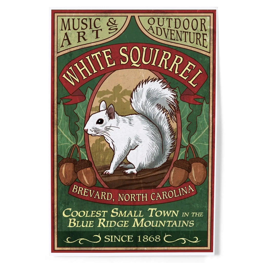 Brevard, North Carolina, White Squirrel Vintage Sign, Art & Giclee Prints - Lantern Press