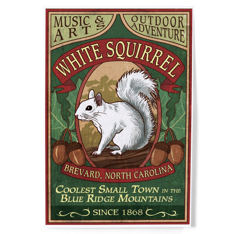 Brevard, North Carolina, White Squirrel Vintage Sign, Art & Giclee Prints - Lantern Press