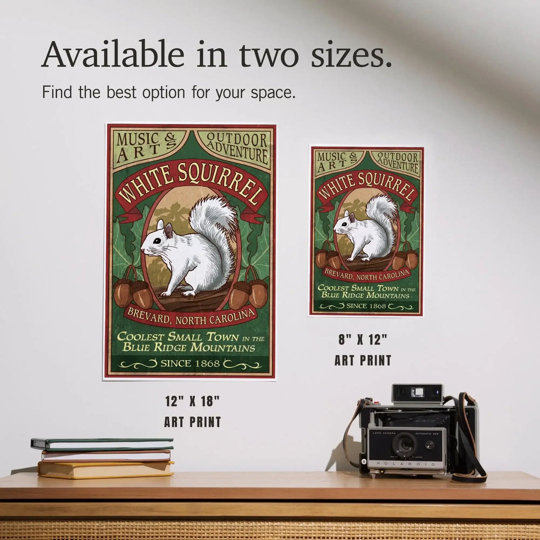 Brevard, North Carolina, White Squirrel Vintage Sign, Art & Giclee Prints - Lantern Press