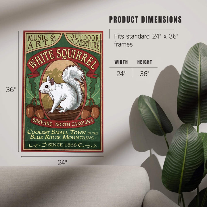 Brevard, North Carolina, White Squirrel Vintage Sign, Art & Giclee Prints - Lantern Press