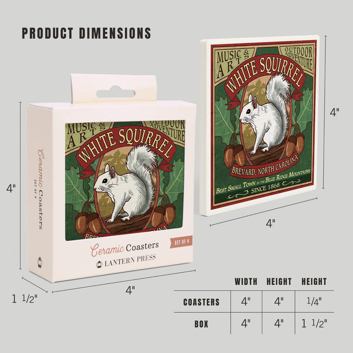 Brevard, North Carolina, White Squirrel Vintage Sign, Coasters Coasters Lantern Press 