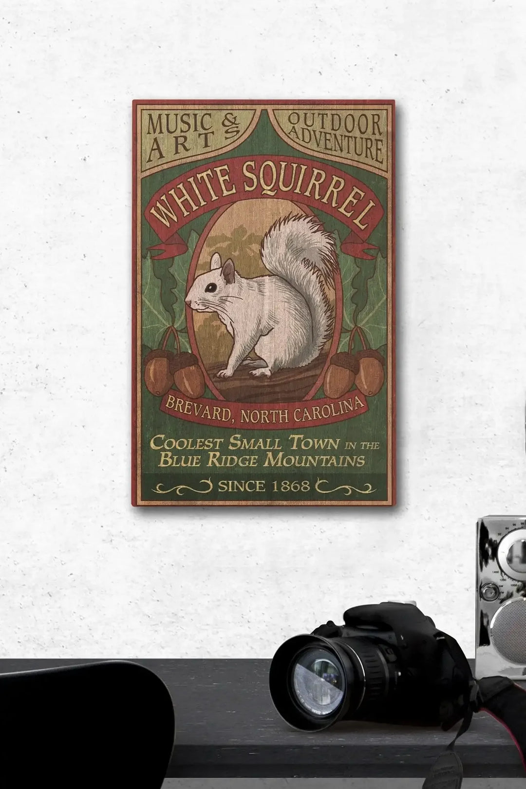 Brevard, North Carolina, White Squirrel Vintage Sign, Lantern Press Artwork, Wood Signs and Postcards - Lantern Press
