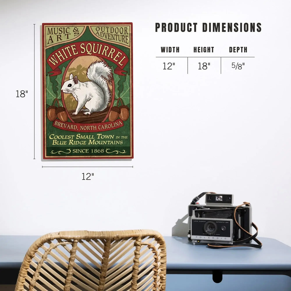 Brevard, North Carolina, White Squirrel Vintage Sign, Lantern Press Artwork, Wood Signs and Postcards - Lantern Press