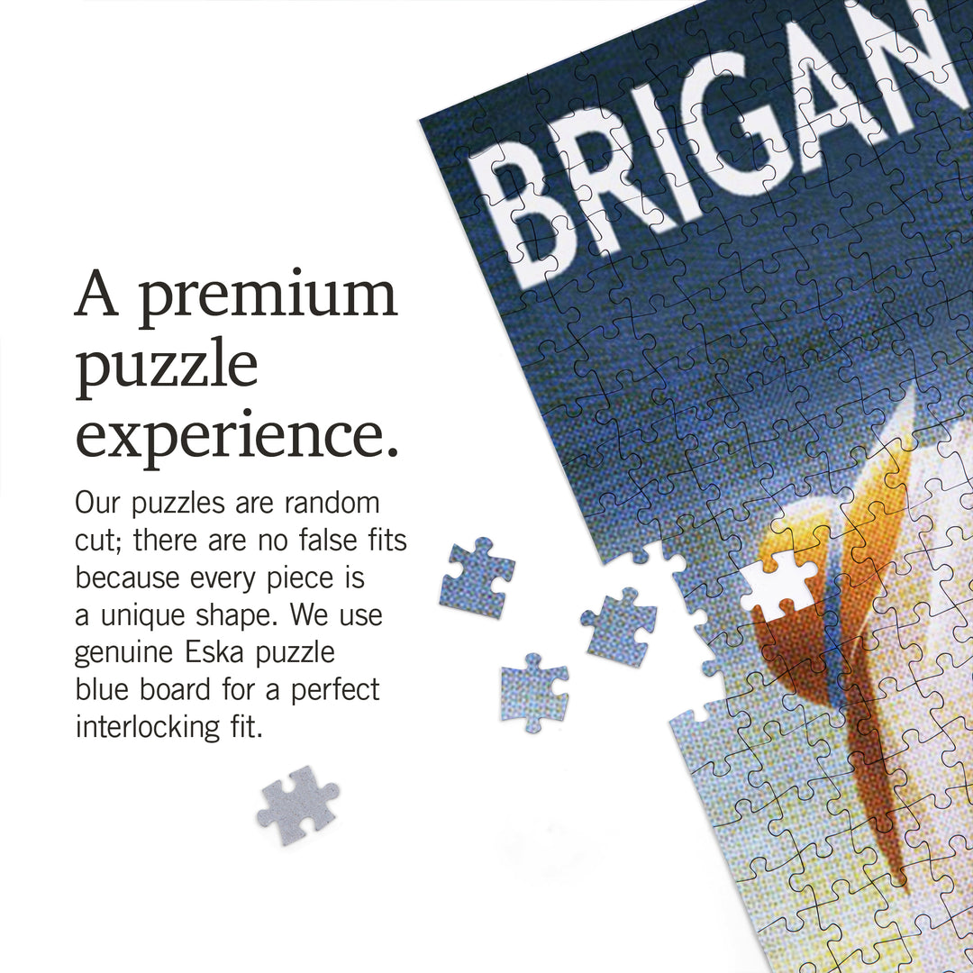 Brigantine Beach, New Jersey, Beach Chair and Ball, Jigsaw Puzzle Puzzle Lantern Press 