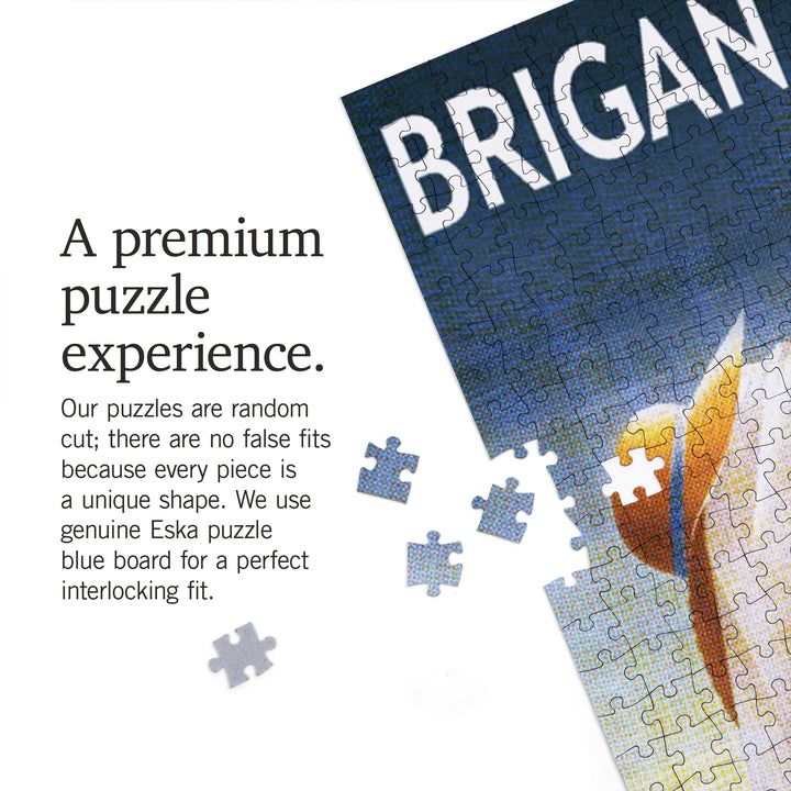Brigantine Beach, New Jersey, Beach Chair and Ball, Jigsaw Puzzle Puzzle Lantern Press 