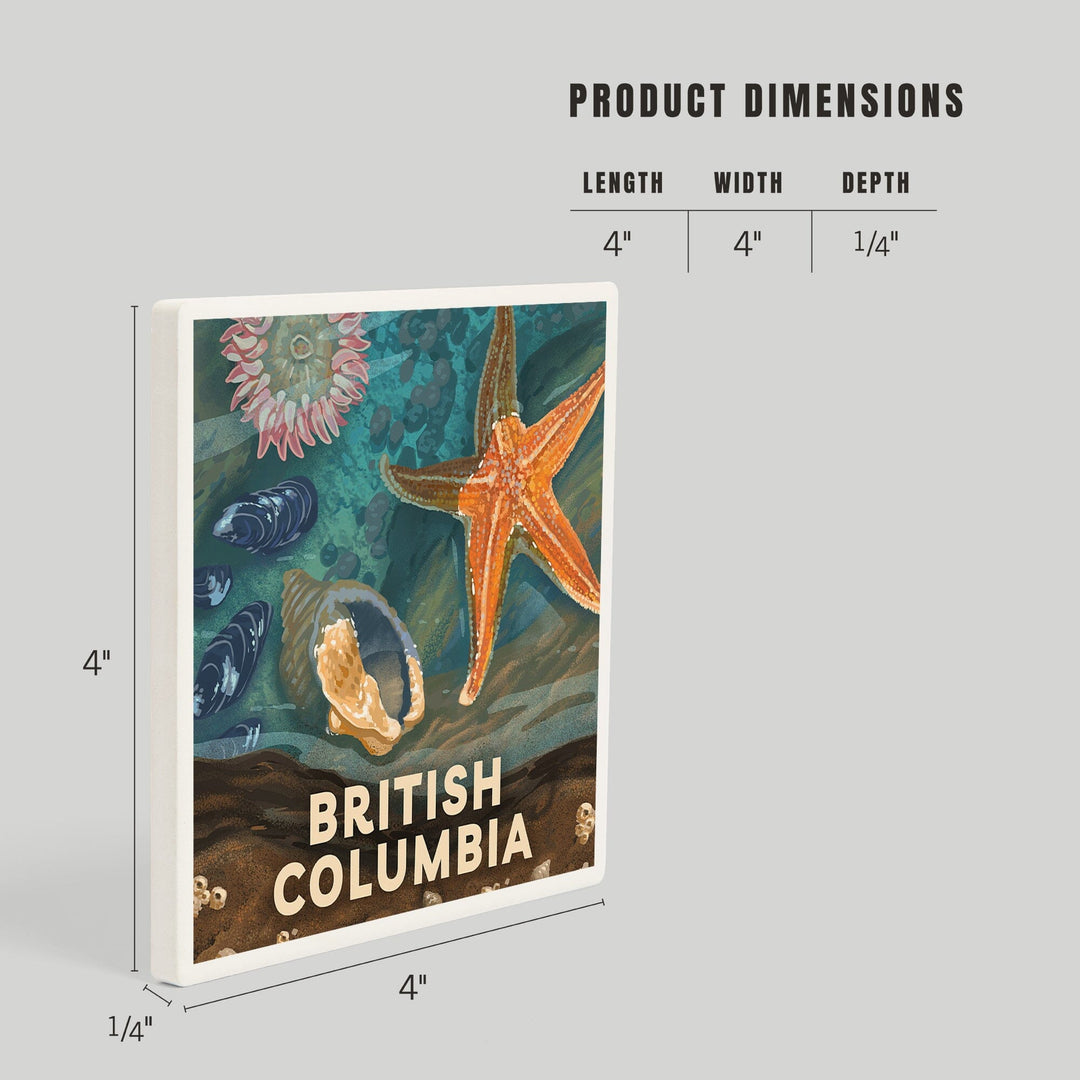 British Columbia, Painterly, Tiny World Huge Wonders, Starfish and Shells, Coasters Coasters Lantern Press 