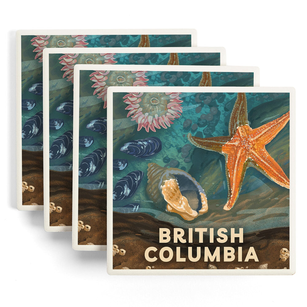 British Columbia, Painterly, Tiny World Huge Wonders, Starfish and Shells, Coasters Coasters Lantern Press 