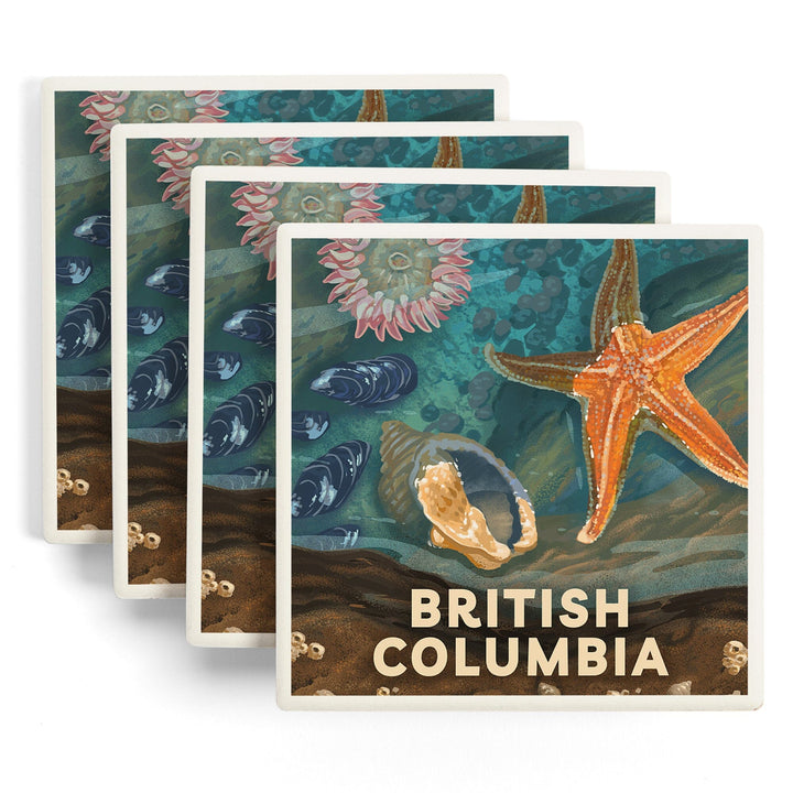 British Columbia, Painterly, Tiny World Huge Wonders, Starfish and Shells, Coasters Coasters Lantern Press 