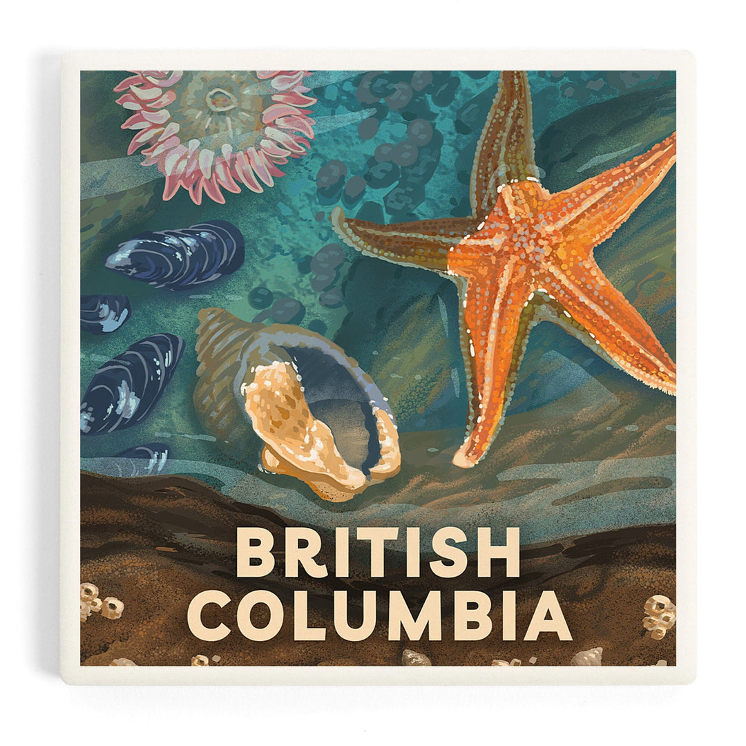 British Columbia, Painterly, Tiny World Huge Wonders, Starfish and Shells, Coasters Coasters Lantern Press 