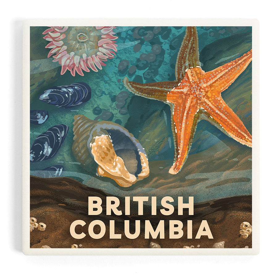 British Columbia, Painterly, Tiny World Huge Wonders, Starfish and Shells, Coasters Coasters Lantern Press 
