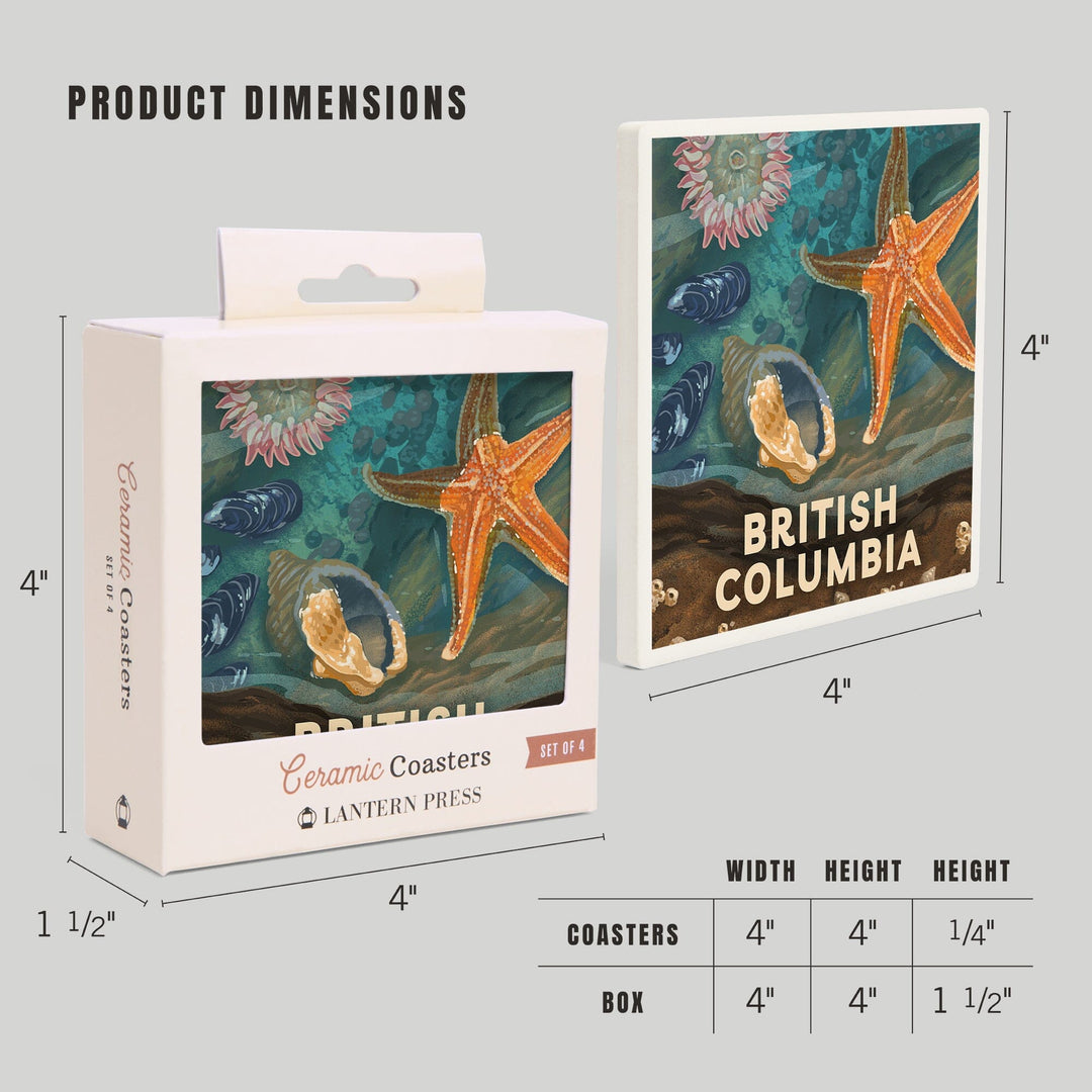 British Columbia, Painterly, Tiny World Huge Wonders, Starfish and Shells, Coasters Coasters Lantern Press 