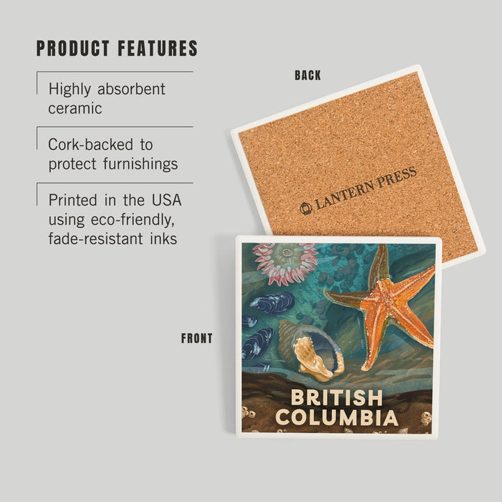 British Columbia, Painterly, Tiny World Huge Wonders, Starfish and Shells, Coasters Coasters Lantern Press 