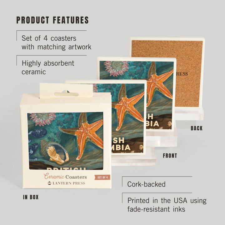 British Columbia, Painterly, Tiny World Huge Wonders, Starfish and Shells, Coasters Coasters Lantern Press 