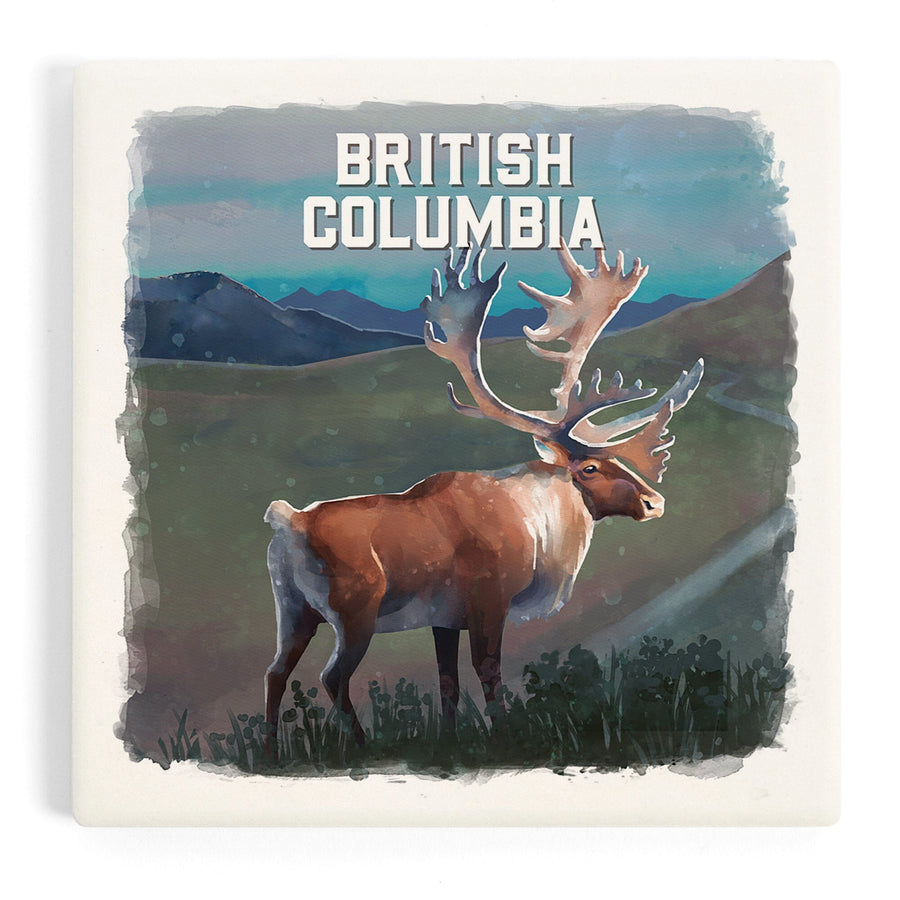British Columbia, Watercolor Study, Caribou, Coasters Coasters Lantern Press 
