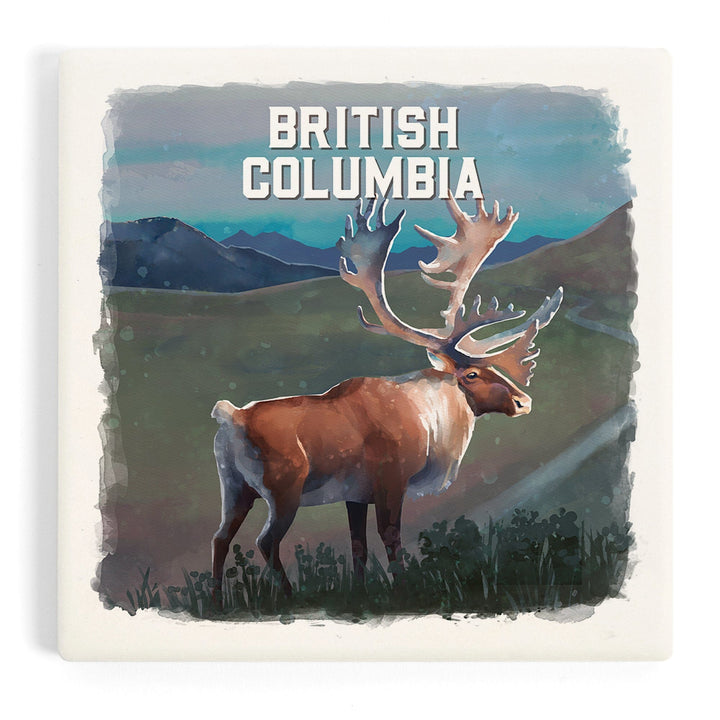 British Columbia, Watercolor Study, Caribou, Coasters Coasters Lantern Press Coaster 